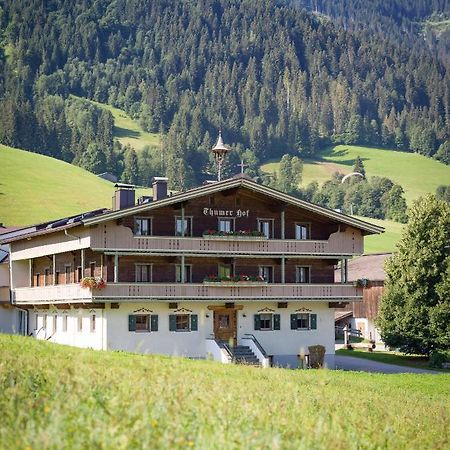 Appartment Thumerhof Wildschoenau Niederau Exterior foto